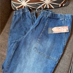 Laurie Felt Casual Women’s Blue Jeans